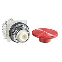 Square D 9001KR25RH5 ປຸ່ມກົດສະຫນອງ PSH BTTN 600VAC 10A 30MM, ປະເພດ K