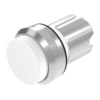 EAO 45-2131.2290.000 ສະຫນັກກົດສະຫນັກກົດປຸ່ມກົດປຸ່ມສີຂາວເລນສ໌ຍົວຂຶ້ນຫຼາຍກວ່າເບຊິວຊັນຊົ່ວຄາວດ້ານໜ້າ/ຕົວຢ່າງເຫຼັກ