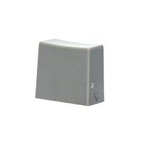 E-Switch 1CLGR ຝາ 9 X 5MM RECT CAP LGR