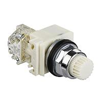 Square D 9001K2L1W ສະຫຼຸບສະຫຼຸບ PSH BTTN OPRATR 30MM ປະເພດ K