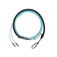 Panduit FWTYL7575LAM094 ການປະກອບສາຍເສັ້ນແສງໄຟເບີ OM5 Sig Core 12f Trunk LSZH PanMPO F/Pan