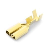 AMP Connectors - TE Connectivity 170031-1 ປຸ່ມຮັບ 250X.032 RCPT TYPE