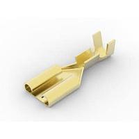 AMP Connectors - TE Connectivity 41771-1 ປຸ່ມຮັບ RECP 250 SERIES