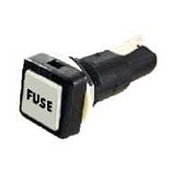 Shin Chin R3-21A-W ຕົວຢືດຟິວ 10A/250VAC