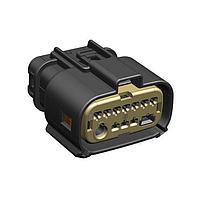 Molex 300158-0007 ຮາວຊິ້ງ MX-DaSH 10+1+1 ກະແຈຍຍິງຍິງຍິງ Key A