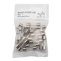 Opto 22 SNAP-FUSE1AB ຮອງດັບແກ້ວ SNAP ຟິວ 1-ແອມ, 25 ຊຸດ