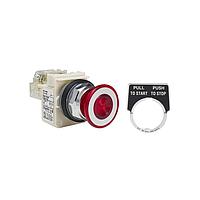 Square D 9001KR9P38RH13 ປຸ່ມກົດສະຫນອງ PSH BTTN 600VAC 10A 30MM, ປະເພດ K