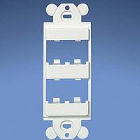 Panduit CFPE10WH-2G ແຜ່ນຫນ້າຕັ້ງຕົວຕົວ 10 ພອດ ຄູ່ສອງ Gang Executi