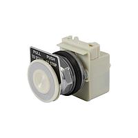 Square D 9001KR8W ປຸ່ມກົດສະຫນອງ PUSHBUTTON OPER 30MM TYPE K +OPTIONS