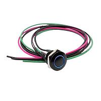 E-Switch PVA6REW4141 ປ້ອງກັນການທຳລາຍ Anti-vandal, SPST, Off-(On), ຕິດຕັ້ງບ່ອນປະຕູ, ດ້ານໜ້າ, ສີດໍາ, LED, ສີຟ້າ, IP67