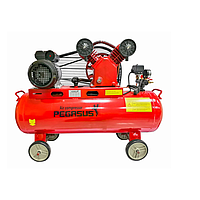 PEGASUS TM-V-0.17/8-70L Belt Driven Air Compressor (220V, 8 Kg/cm, 70L)