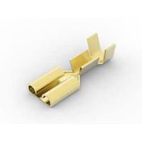 AMP Connectors - TE Connectivity 5-160465-1 ຮັບກະປຸງ 250 FASTON IS