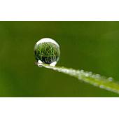 What are the ways to determine the dew point temperature of compressed air?