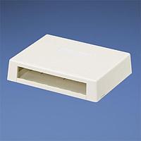 Panduit CBXD6IW-AY ກະເປົາສາຍໄຟຟ້າ ແລະ ທາງຜ່ານສາຍ ກະຕ່າຕິດຜິວ 6 ພອດ ສີຂາວແບບອອບ