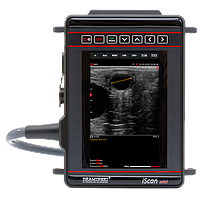 DRAMINSKI iScan mini ເຄື່ອງສະແກນ Ultrasound (2-9 MHz)