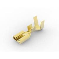 AMP Connectors - TE Connectivity 63831-1 ປຸ່ມຕິດຕັ້ງ RCPT FASTON 250 IS