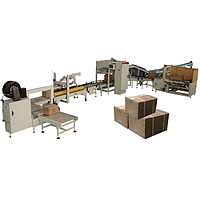 Zengran LB450-2 Case Packer ສໍາລັບ Pouch ແລະ Bag (17 BPM)