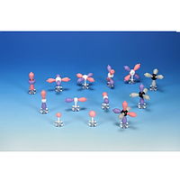 PHYWE 39838-00 ແບບຈໍາລອງວົງໂຄຈອນປະລໍາມະນູ (14 pcs)