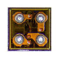 Maxim Integrated MAX31875R5TZS+T ຕິດຕາມອຸນຫະພູມ I2C ພະນັກງານພະນັກງານພະນັກງານພະນັກງານພະນັກງານ WLP