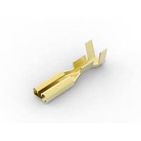 AMP Connectors - TE Connectivity 881607-1 ຮີເຊບເຕິເຄວ .110S FASTON REC.