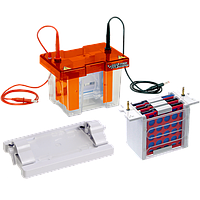 Major Science MV-10CBS ສໍາເລັດລະບົບ Mini Electro Blot