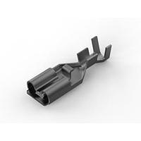 AMP Connectors - TE Connectivity 179974-6 ປຸ່ມຮັບ Receptacle RCPT 18-14 STR .250