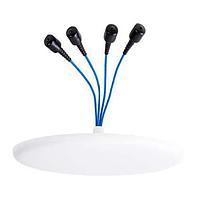 Pulse Electronics OD617-6000M443 ອະນເນນພາຍນອກ ອະນເນນພາຍນອກ/ໃນອາຄານ ອອມນິ ໄດເຣັກຊັນ ຕິດພາຍໃນພື້ນຫຼັງ 5G NR/CBRS/4G LTE 4x MIMO 4.3-10 Connector