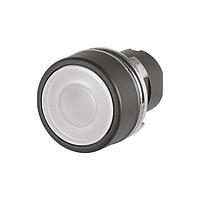 EAO 46-2234.11N0.000 ອັກຊັເຕີ Flush, oe 22.3 mm, oe 29 mm, flush, ເຮັດໃຫ້ເປັນແສງ, ສີຂາວ, ພລາສຕິກ, ແຈ້ງເຈັດ, ຮອບ, ສີດໍາ, ພລາສຕິກ, ຮັກສາໄວ້, IP65, IK03