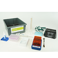 PHYWE 15311-88 ນັກສຶກສາກໍານົດພັນທຸກໍາ