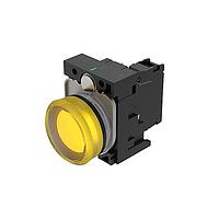 EAO 45-1T00.10G8.000.100 ອິນດິເຄດເຕີ (45-1T00.10G8.000.100)