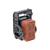 Molex 34885-6521 ກອງປົງ .635mm, 1.50mm, ຕູ້ສະຫນອງ Power CMX, 65 ວົງຈອນ, ອອກສາຍຂວາ, ລະຫັດສີນ້ຳຕານ