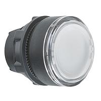 SCHNEIDER ZB5AA18 ຫົວ FLUSH ມີຝາແຈ້ງແຈ້ງ, ສີຂາວ