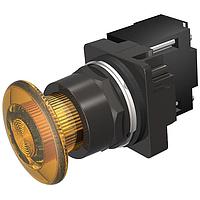 SIEMENS 52BP7DT ເມັດເຫຼັກ 3POS,NEMA4X,MTD,FV 24V,FULL ILL AMB