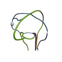 True Phantom Solutions CW-C01 ສາລະຫວ່າງສະຫນາມສະຫນາມ