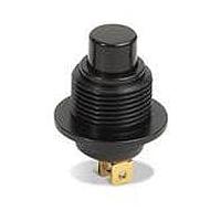 OTTO P5-311228 ກົງກະດູກການກະທຳສະຫນັກ Alternate Action Bezel Threaded 10A SPST Silver Cmrcl