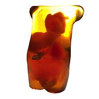 True Phantom Solutions AN-N01 ຕົວລູກເດັກໃຫມ່ (ຂັ້ນສູງ) ສໍາລັບ X-Ray CT, US