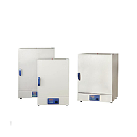 Bluepard DHG-9031A ເຕົາອົບແຫ້ງ Convention ທໍາມະຊາດ (27L,200°C)