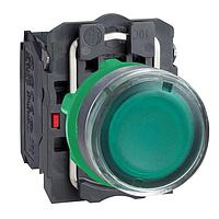 SCHNEIDER XB5AW3345 ປຸ່ມກົດສະຫນອງ PUSH BUTTON LED 120VAC 22MM XB5B