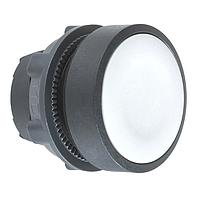 SCHNEIDER ZB5AA8 ຫົວ FLUSH PSH, ສີເຫຼືອງ