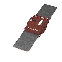 Littelfuse 4998100.M-M6 ຟິວສ໌ບໍລ໌ດາວນ໌ 100A 70V 2-M6 ຮໍ້ລ໌