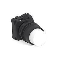 Alcoswitch - TE Connectivity 2492673-6 ປຸ່ມກົດ PUSH BUTTON ຍືນຍາວ ສີຂາວ