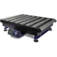 Mettler Toledo 30138143 BC Scale BCA-223-150U-1156-110