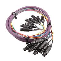 Switchcraft XLRM05XLRFB ເຄື່ອງສົມບັດ XLR M-XLR F, 5 FT 8 CH AUD SN BLK/GLD