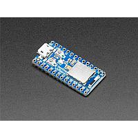 Adafruit 4481 ບອດພັດທະນາ Adafruit ItsyBitsy nRF52840 Express - Bluetooth LE