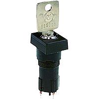 RAFI 1.10.118.713/0000 ສະຫນອງກຸບກະລຸນາ Keylock switch 2x90