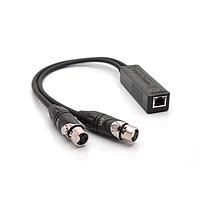 Amphenol Audio RJD2203-0050 ສາຍຕໍ່ອະເດັດເຕີ ສອງຊ່ອງ ລະດັບເສັ້ນສະເພາະ