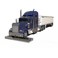 Mettler Toledo 61808947002 AxlePass Weigh-in-Motion