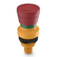 ສະຫຼອງຢຸດສະພາບສະພາບຉັດເກັດ