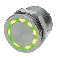 Schurter 1241.3669 ປຸ່ມກົດ Piezo 22mm ສ່ວນປະກອບເຫຼັກບໍ່ຜະລາດ ແດງ/ຂຽວ/ນ້ຳໄມ້ ຮິງ