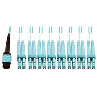 Tripp Lite N846D-01M-24CAQ ເສັ້ນໄຟເບີອອບຕິກ 1M 24F MPO F/F 16SFBRPTCCBL AQ